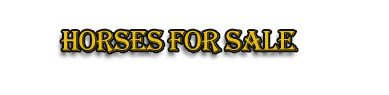 Quarter Horses for Sale, Cutting Horses for Sale, Quarter Horses for Sale in Montana